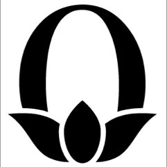 OahsisC's profile picture. 