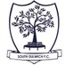 South Dulwich FC (@SouthDulwichFC) Twitter profile photo