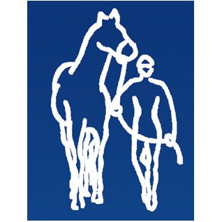 ITS Aste Srl Profile