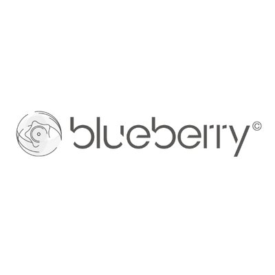 Blueberry (@eye_blueberry) / X