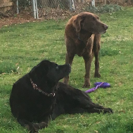 kizlow's profile picture. North Carolinian. Charlottean. Tar Heel. Panthers Fan. Soccer Fan. American. Go Go USA!