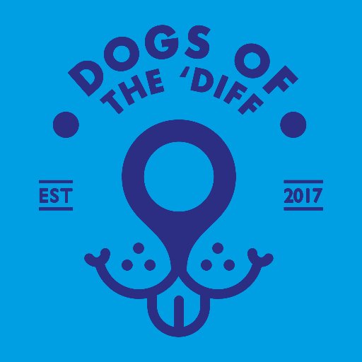 A photography project celebrating the diversity of dogs in Cardiff.