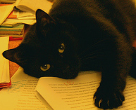 Concerning the Philosophical World, I am Empress of it myself.