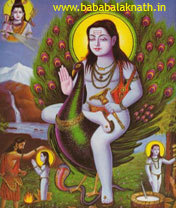 Baba Balak Nath portal for every bhagat