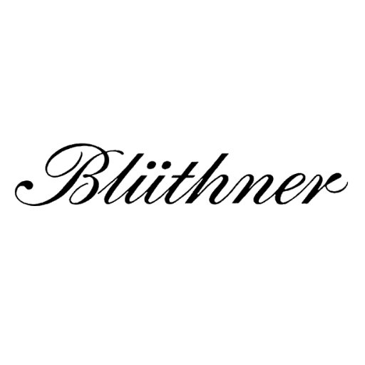 Blüthner Profile