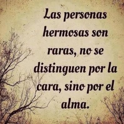 ciraperez4's profile picture. 