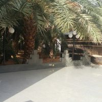 الفضلي (@alfadhli01) 's Twitter Profile