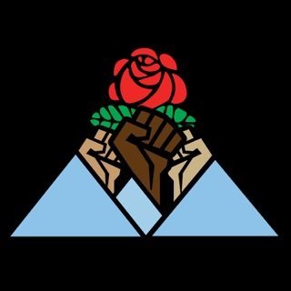 Official Asheville chapter of @demsocialists. 
A better world is possible.
general@avldsa.org