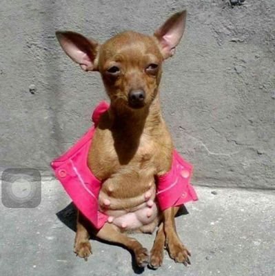 Devilllonely1's profile picture. Hehohihi