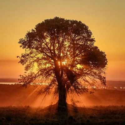 marwari21's profile picture. 