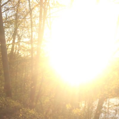 DxtiNuts's profile picture. 