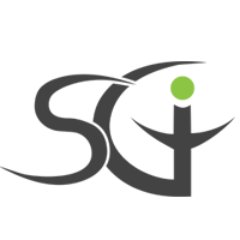 SGI: Traditional Marketing and Digital Media • PR • Branding SGIcares: Program Management   info@sgicares.com