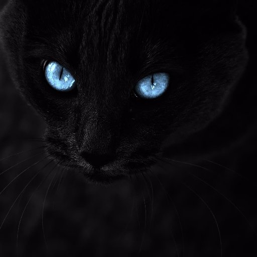Ambitious, cunning, sly tom with long sharp black claws, like talons. Mate: ✖ Kits: ✖