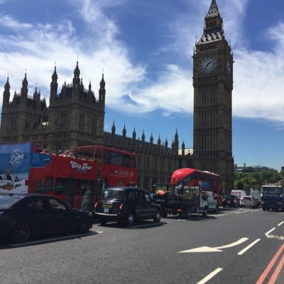 amstamst71's profile picture. عاشق للسفر