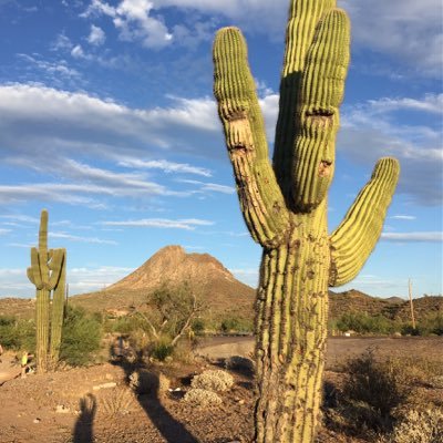 FredrikHubsch's profile picture. 