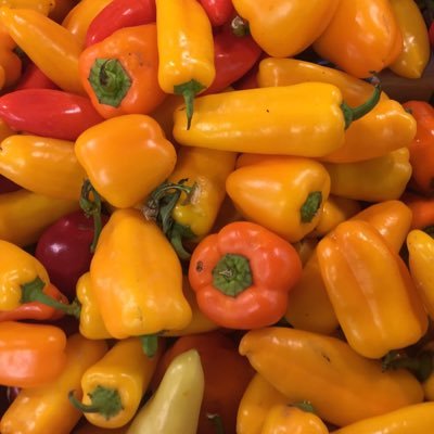 rahulkatl's profile picture. 