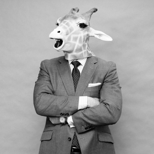 vincentpolce's profile picture. 