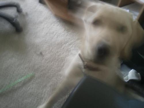 mytwitact2's profile picture. Two standard deviations above the mean