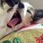 bam_0312's profile image