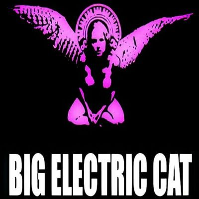The Official Twitter Of Big Electric Cat