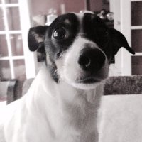 Samantha Elliott (@samelliott29) 's Twitter Profile