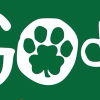 Erin Go Dog (@eringodog) 's Twitter Profile