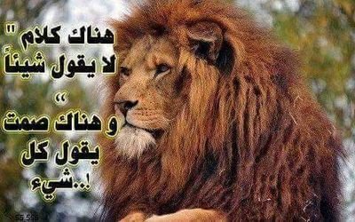 3Cq7aqKiuqBKX15's profile picture. ‏إفعل ما يمليه عليك ضميرك وعش حراً فالموت يأتيك مرة واحدة فلا تطأطأ رأسك وكن صاحب مبدأ ولا تخشى إلا الله