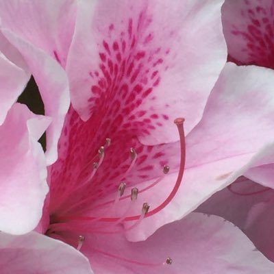 abou_sufiyan's profile picture. 