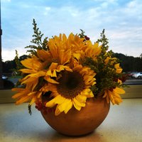 Ms. Mowers (@ccesocialworker) 's Twitter Profile Photo Ms. Mowers (@ccesocialworker) 's Twitter Profile Photo