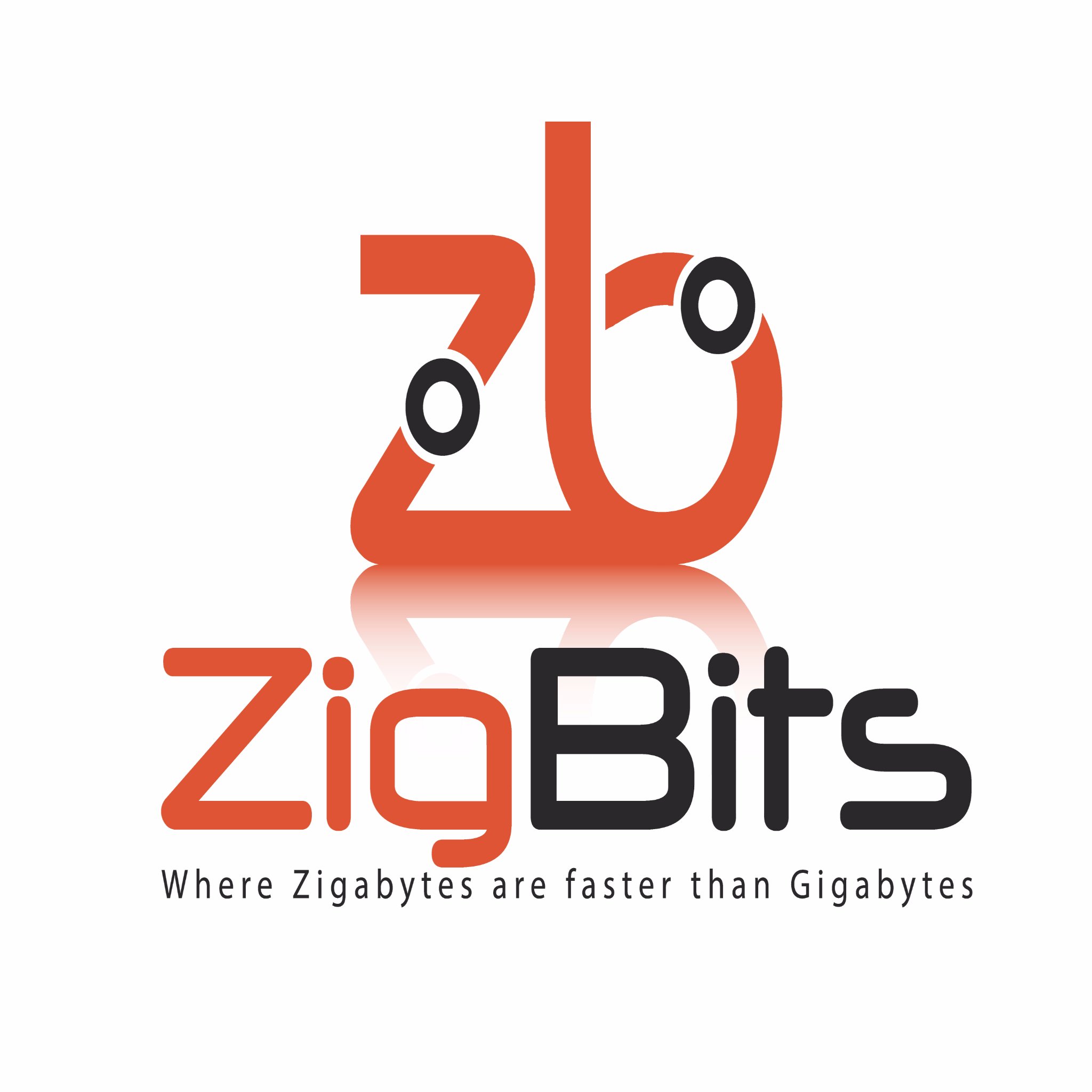 zigbits Profile Picture