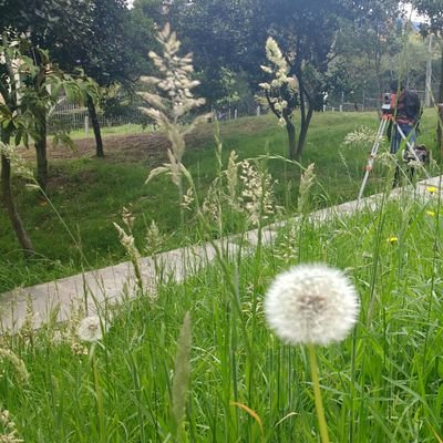 IngCCR_'s profile picture. Us and Them