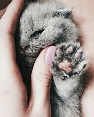 SweetCa99265721's profile picture. 