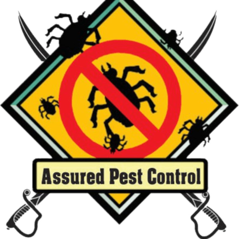 assured_pest's profile picture. We the Assured Pest Control Services are based in Mombasa & provide, Assured, Unmatched pest control solutions to both residential and commercial establishments