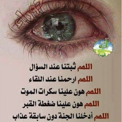 molyshrief's profile picture. 