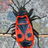 mauerwanze's profile image