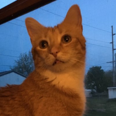 ReidMorePotter's profile picture. 