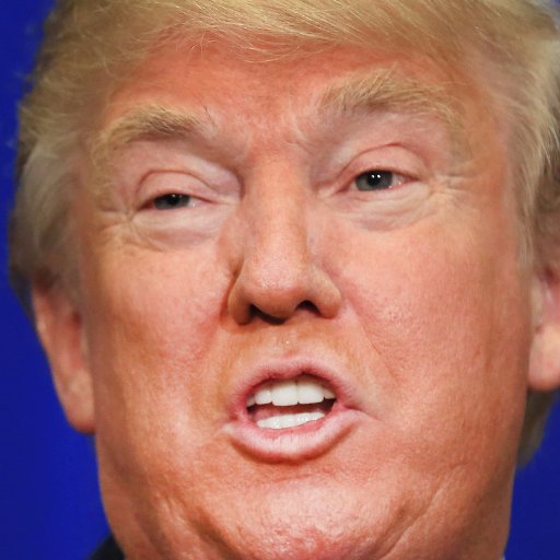 NerdyDd's profile picture. i RT giveaways and a Trump supporter
Looks like a bot but actually a real person