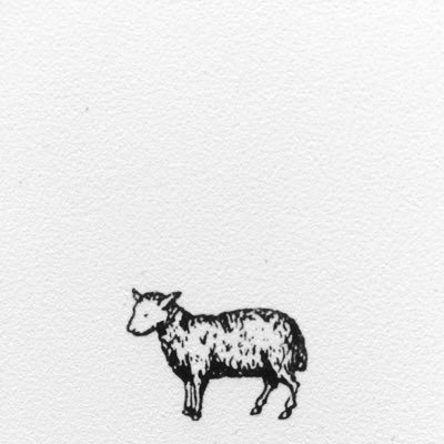 outland_records's profile picture. 岡田拓郎,musician     
outlandrecords2015@gmail.com