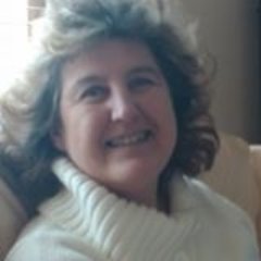 webcityone's profile picture. #WebCityOne, #Simplylocate, #Web4Holidays. We build stunning  websites. Looking after all your Digital requirements & Open source. Web hosting also available