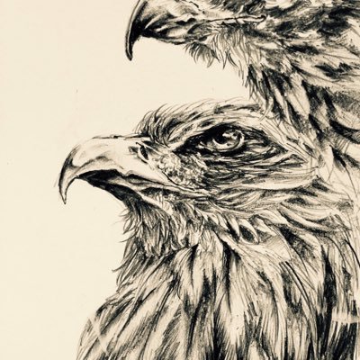 まれさんのプロフィール画像