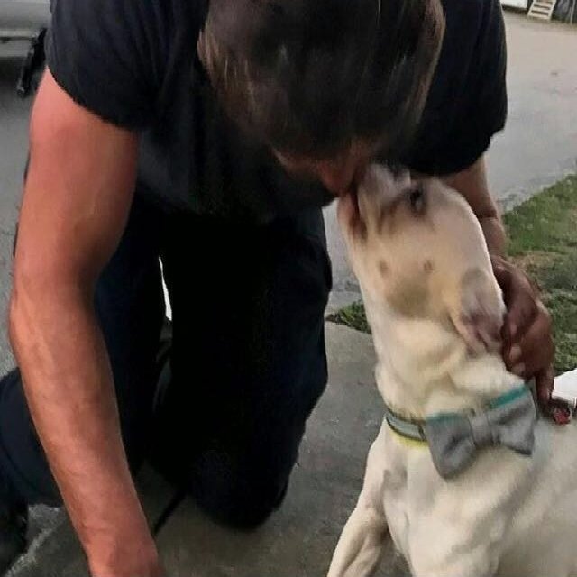 butlergerard69's profile picture. 