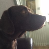 Phil (@philnmarks) 's Twitter Profile Photo Phil (@philnmarks) 's Twitter Profile Photo