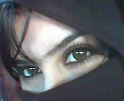 fofo1040's profile picture. 