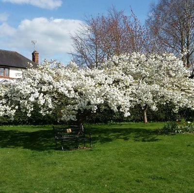 JanButcher4's profile picture. Just me being me best I can