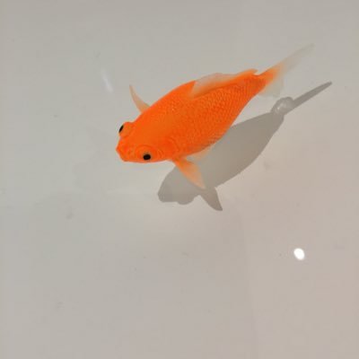 SheilaABell's profile picture. Sales Consultant, Coalesse: innovative furnishings for the new work day