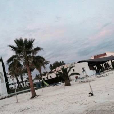 yaali201512's profile picture. 