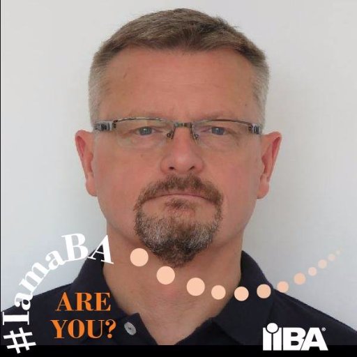 Cofounder and the President of IIBA Russia Chapter, Lead Business Analyst at EPAM Systems, trainer at Luxoft Training