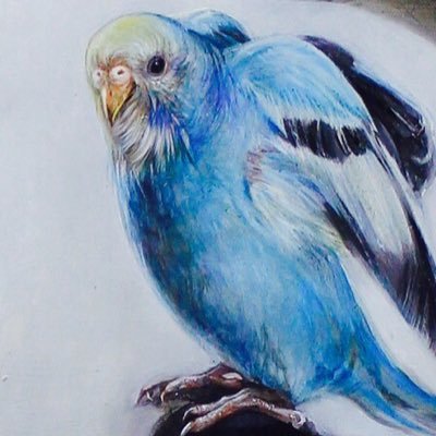 titakoさんのプロフィール画像