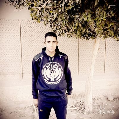 alimahmoud17521's profile picture. 