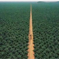 مزارع الكويت (@kuwaitfarm) 's Twitter Profile Photo